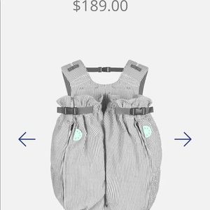 Double baby back pack carrier